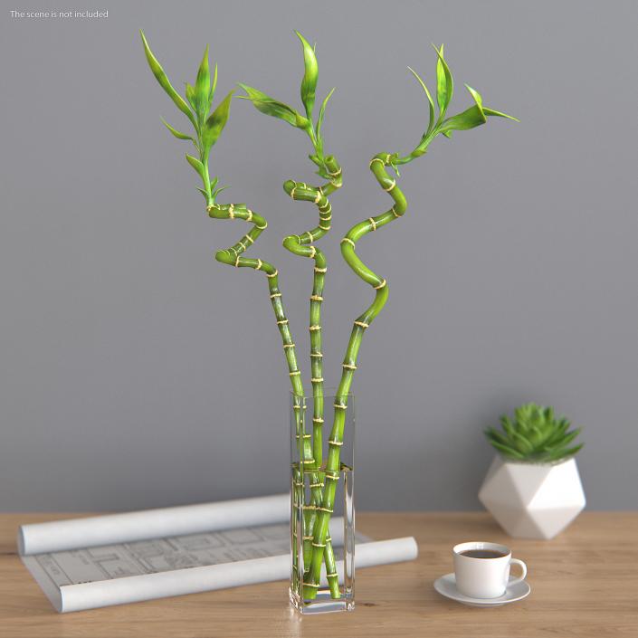 Flowers in Vases Collection 7 3D model