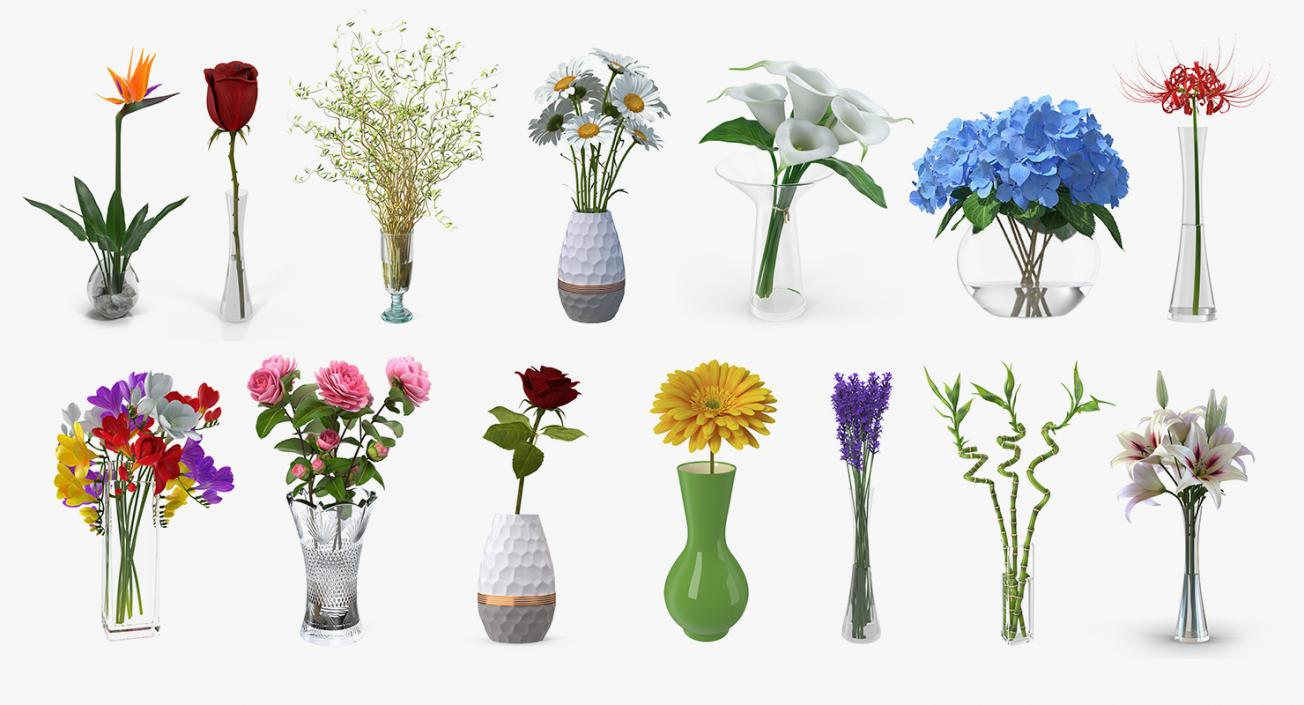 Flowers in Vases Collection 7 3D model