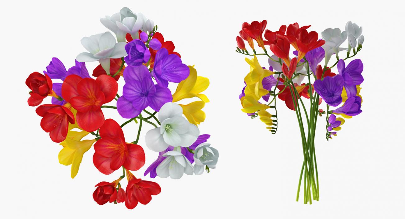 Flowers in Vases Collection 7 3D model