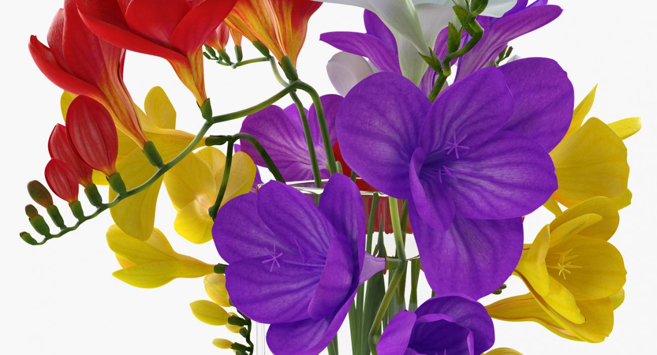 Flowers in Vases Collection 7 3D model