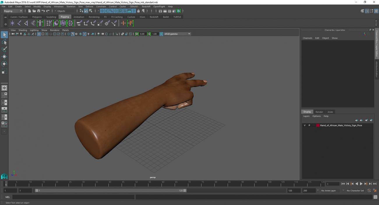 3D Hand of African Male Victory Sign Pose model