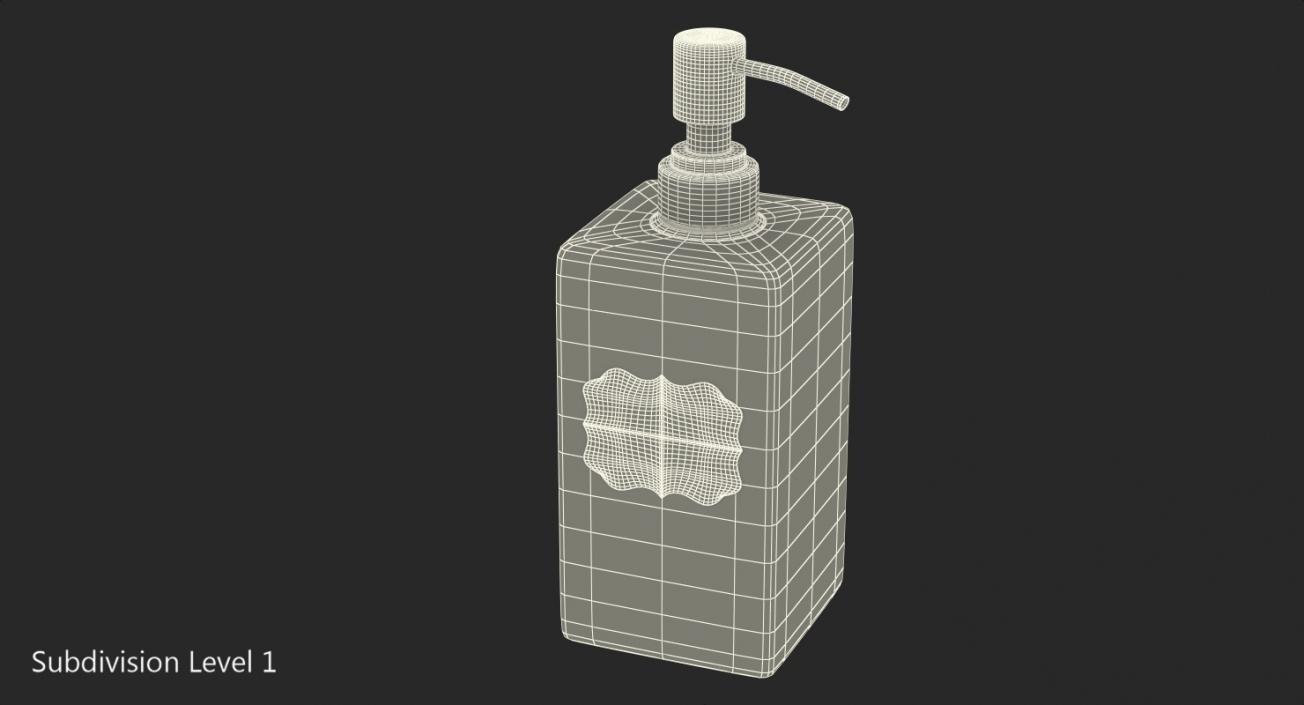 3D model Soap Dispenser with Stainless Metal Pump