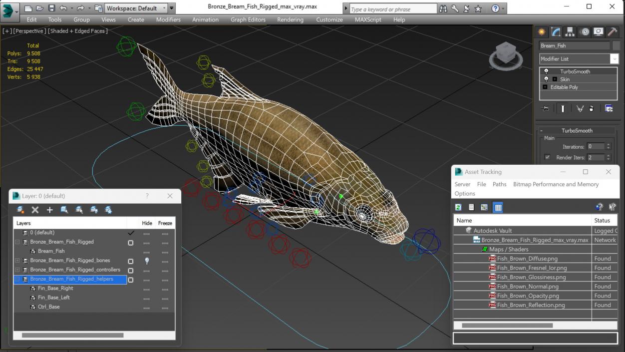 Bronze Bream Fish Rigged 3D model