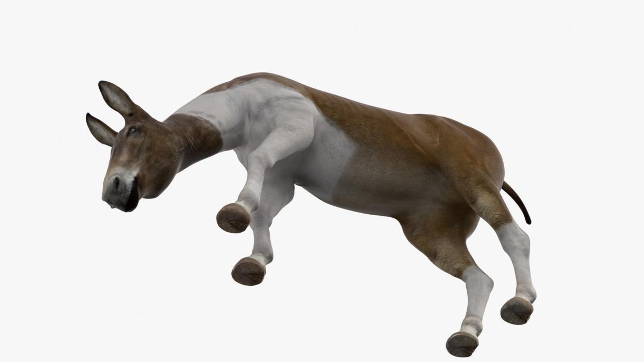 3D Eating Mule 2 model