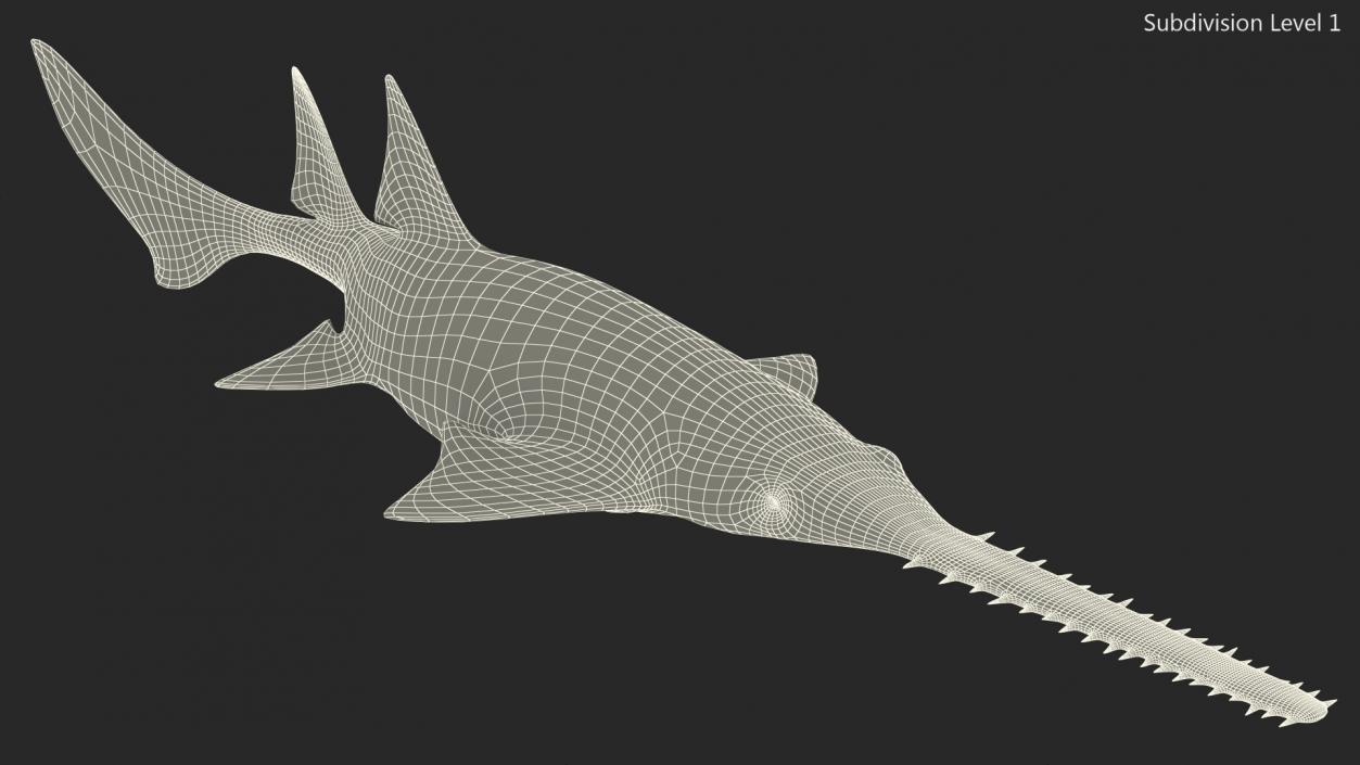 Sawfish Rigged 3D model