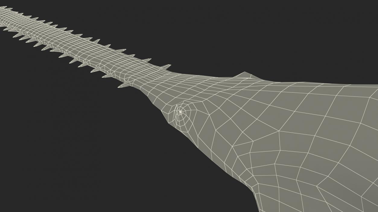 Sawfish Rigged 3D model