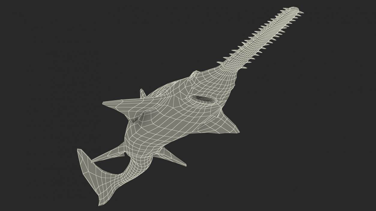 Sawfish Rigged 3D model