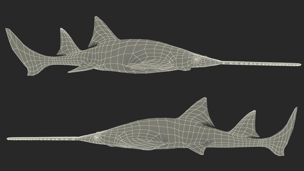 Sawfish Rigged 3D model