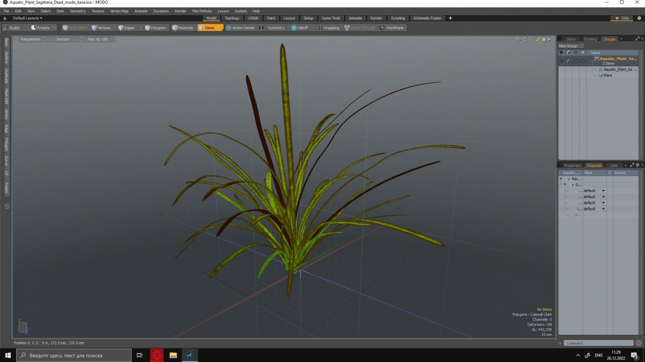 Aquatic Plant Sagittaria Dead 3D model