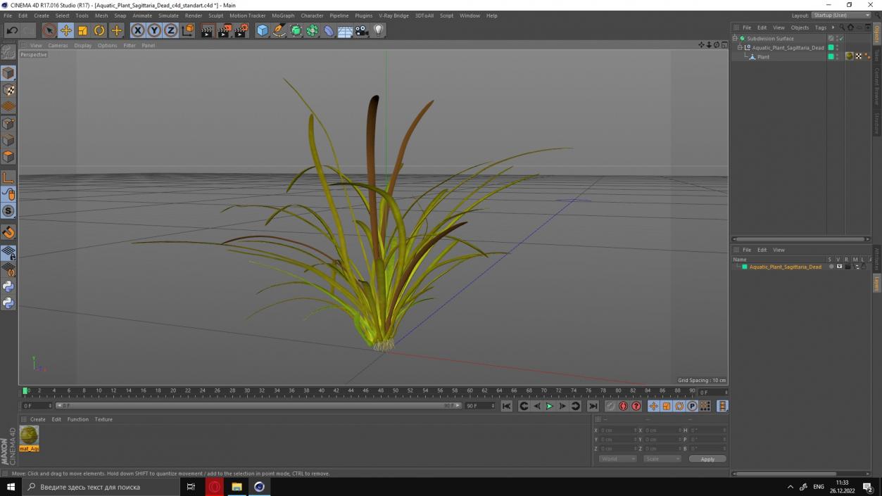 Aquatic Plant Sagittaria Dead 3D model