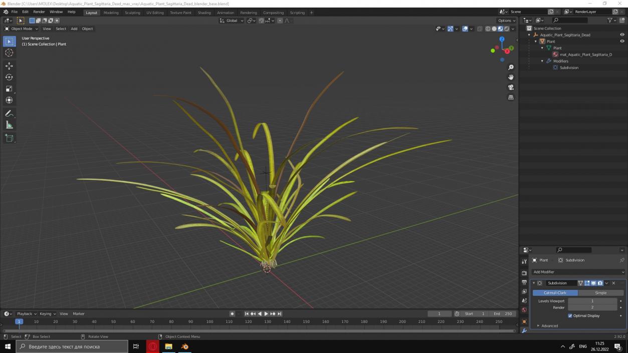 Aquatic Plant Sagittaria Dead 3D model