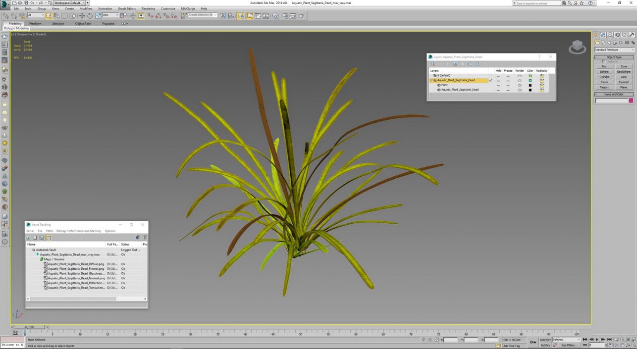 Aquatic Plant Sagittaria Dead 3D model