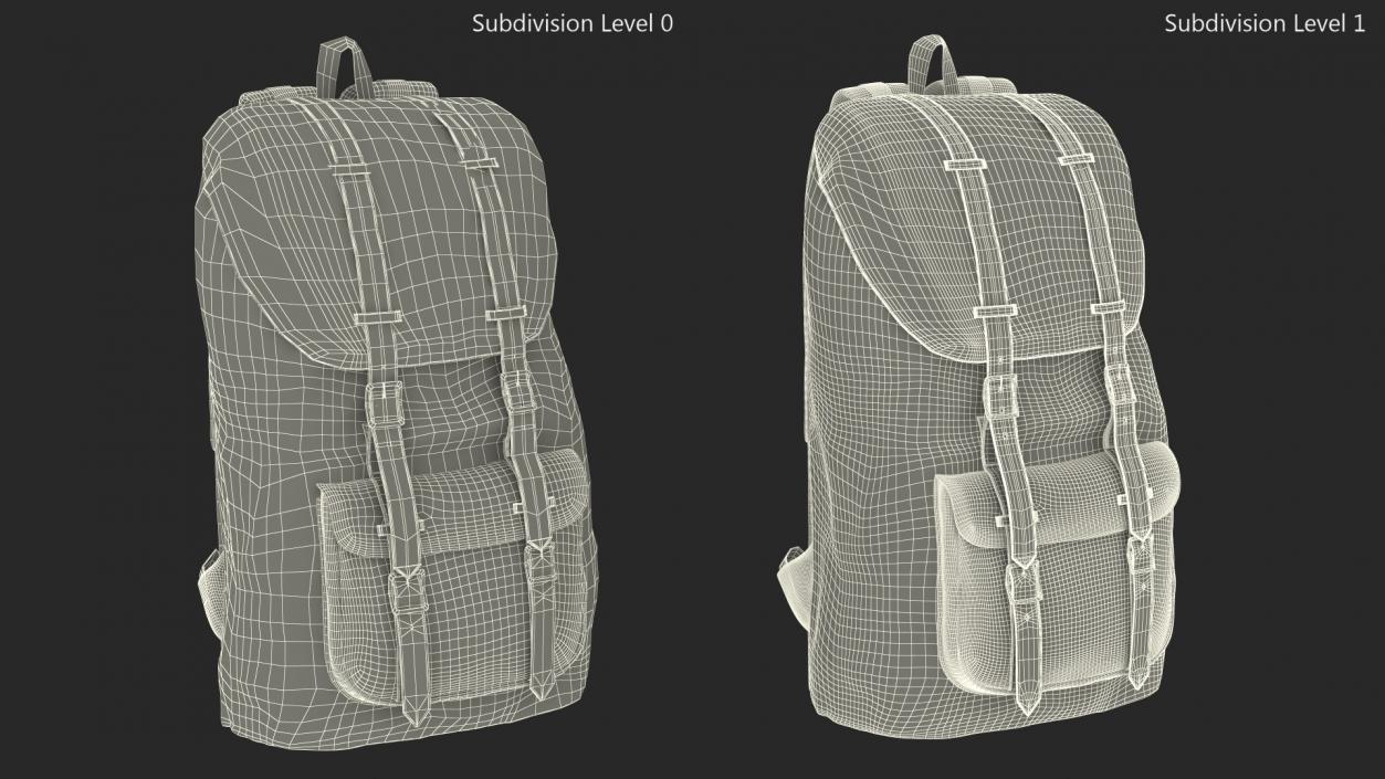 3D Classic Backpack with Leather Straps