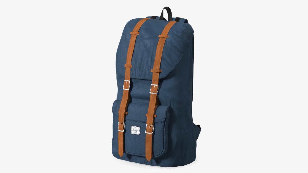 3D Classic Backpack with Leather Straps