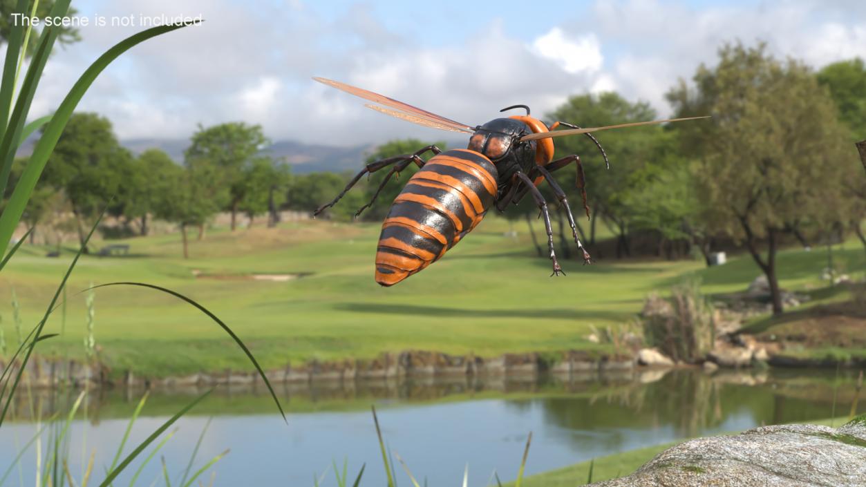 3D Vespa Mandarinia Flying Pose model