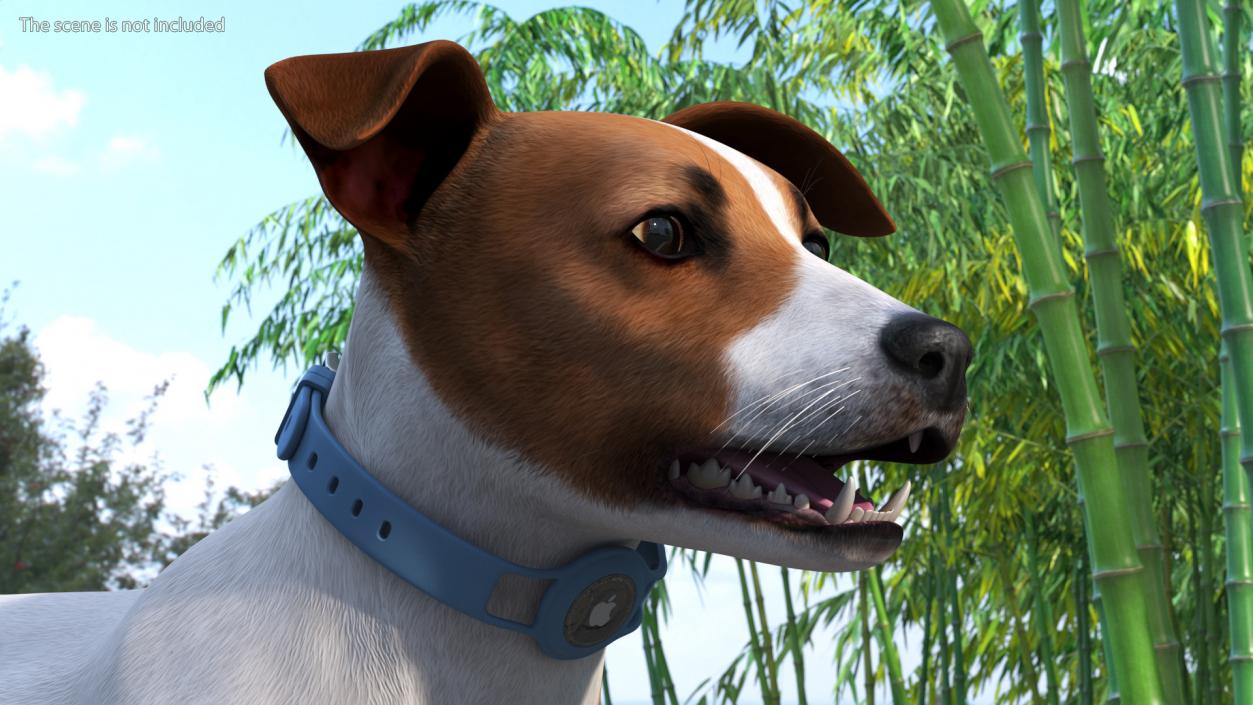 Apple Dog Tracker 3D