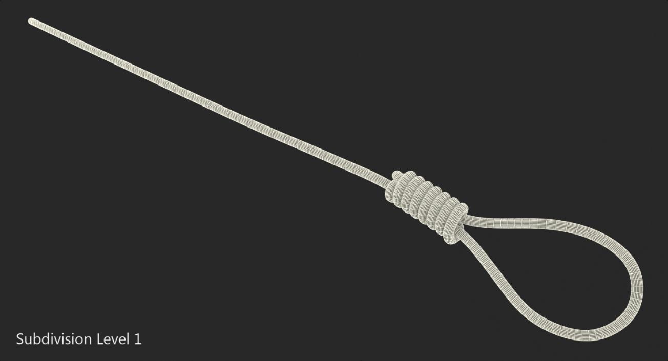 Noose 3D model