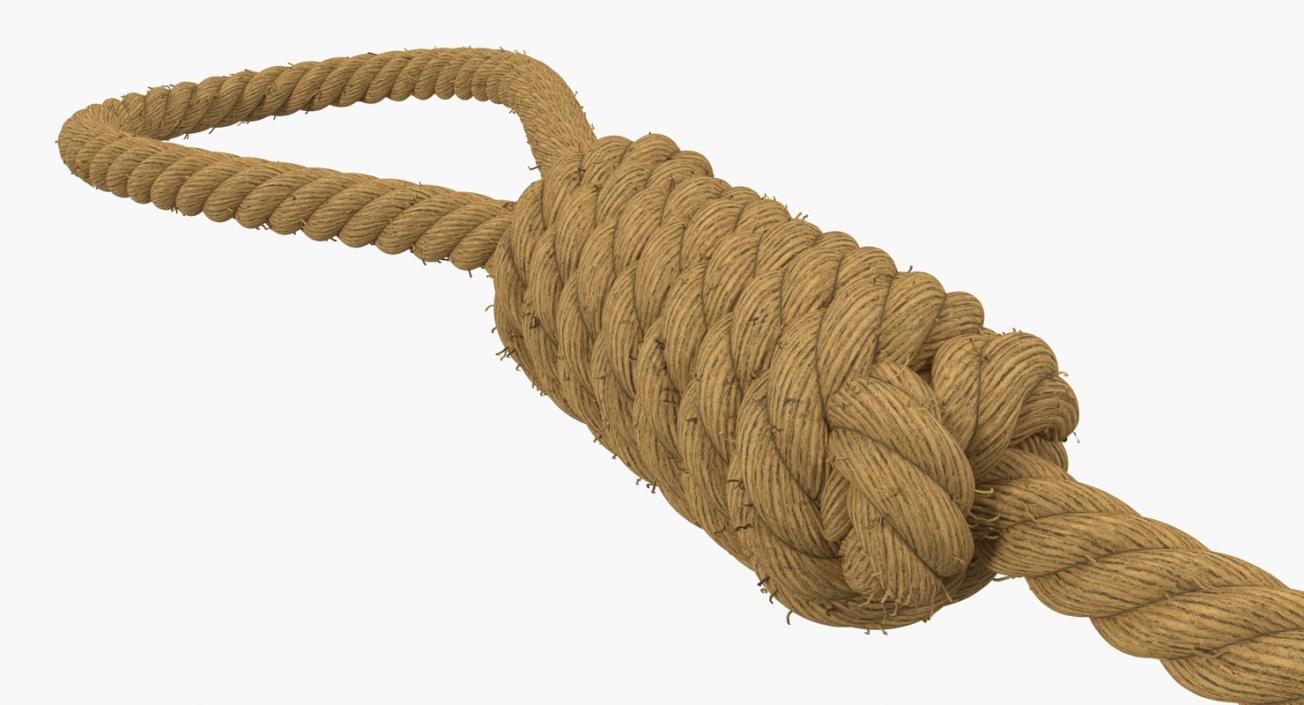 Noose 3D model