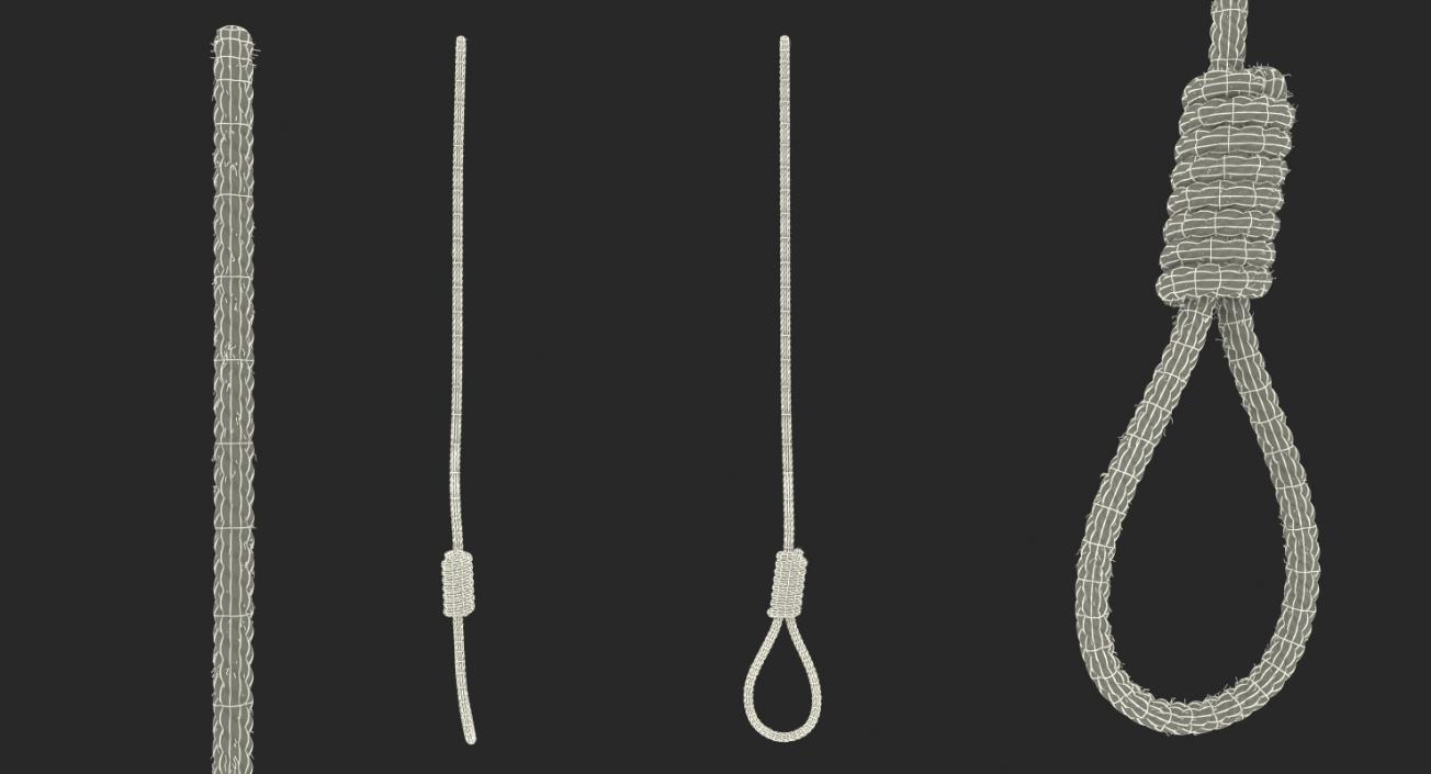 Noose 3D model