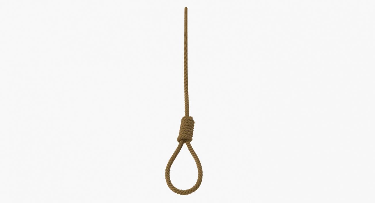 Noose 3D model