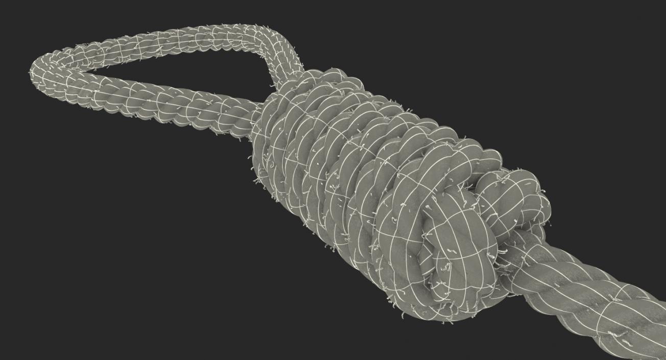 Noose 3D model