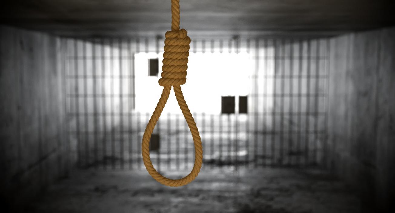 Noose 3D model