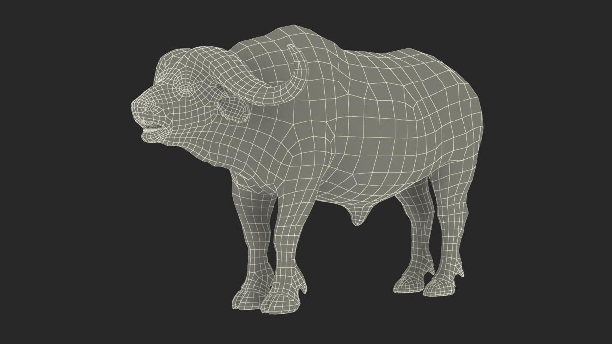 3D African Animals Collection 8 model