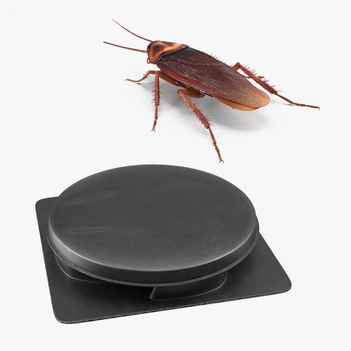 3D model Cockroach with Bait Collection