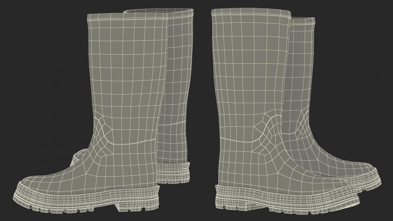 Rubber Boots for Duck Hunting 3D model