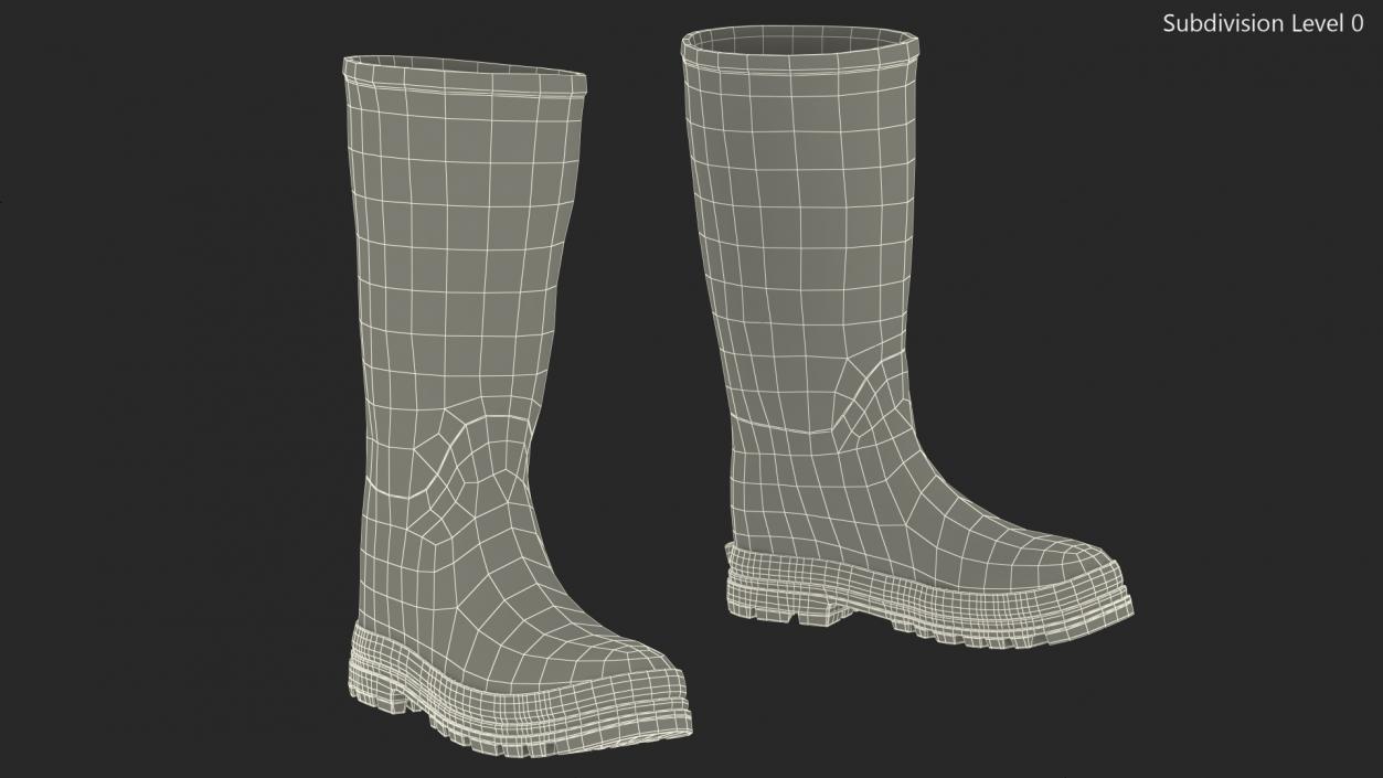 Rubber Boots for Duck Hunting 3D model