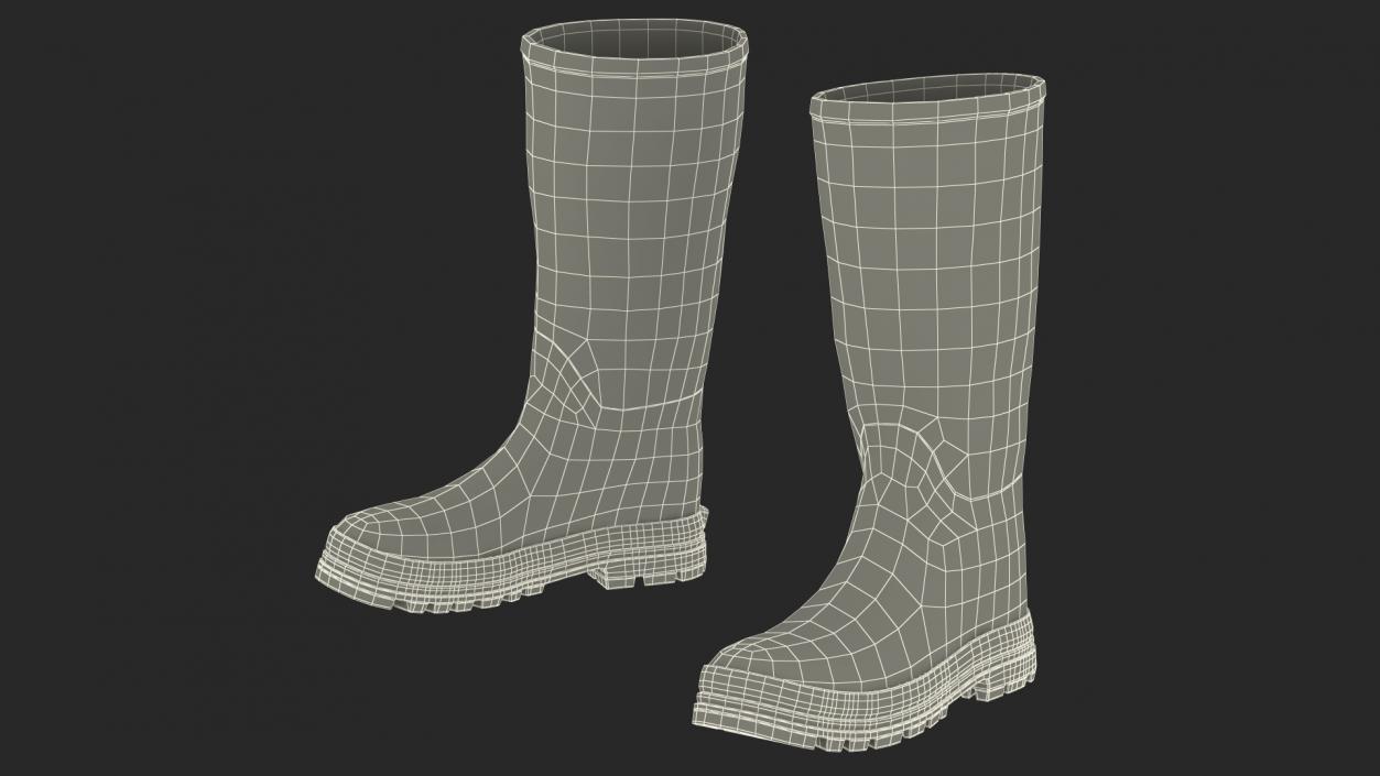 Rubber Boots for Duck Hunting 3D model