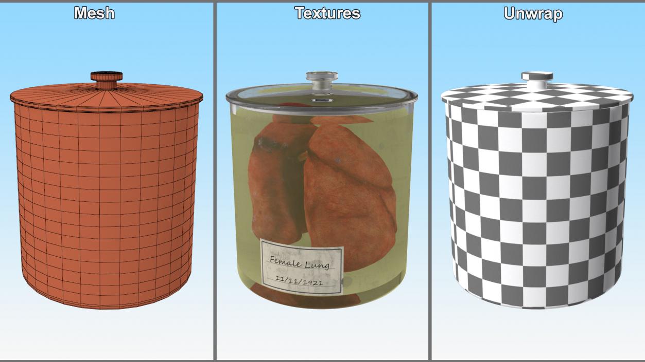 3D Human Lungs in Glass Jar 2