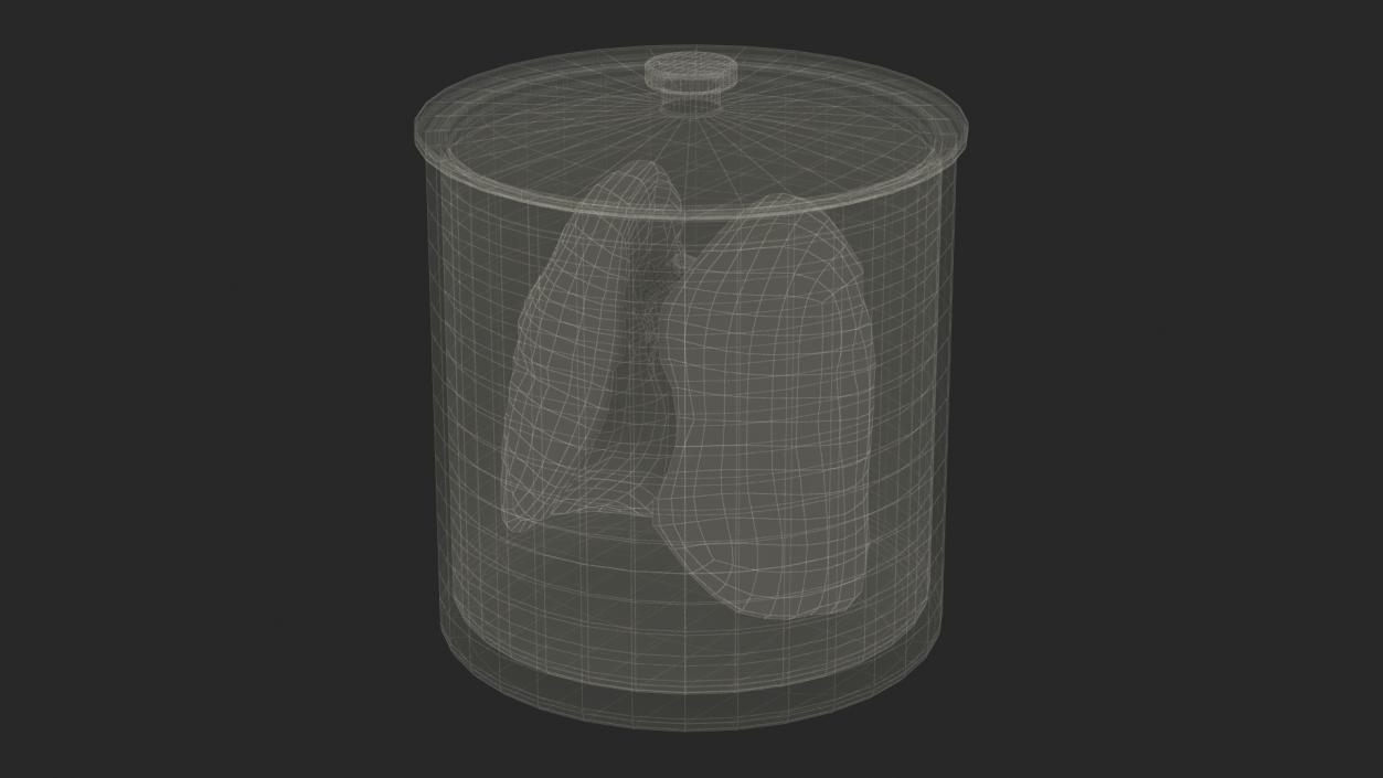 3D Human Lungs in Glass Jar 2