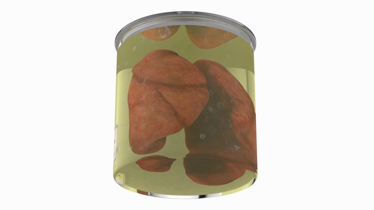 3D Human Lungs in Glass Jar 2