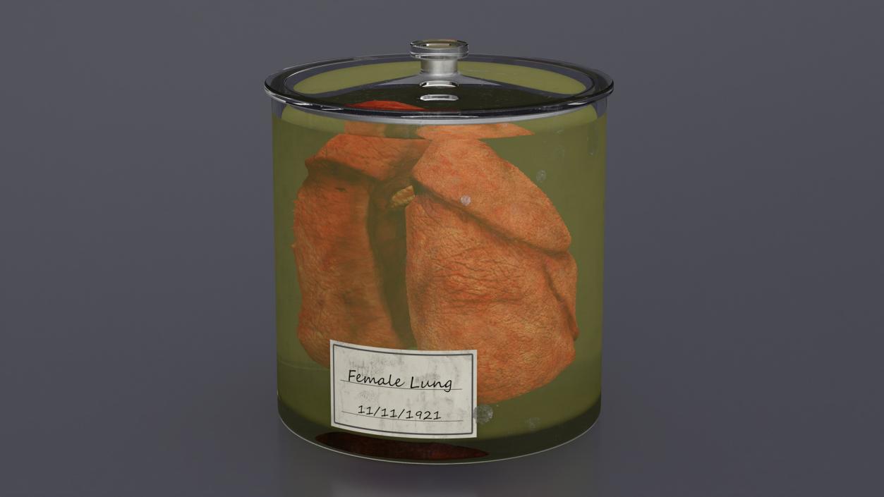 3D Human Lungs in Glass Jar 2