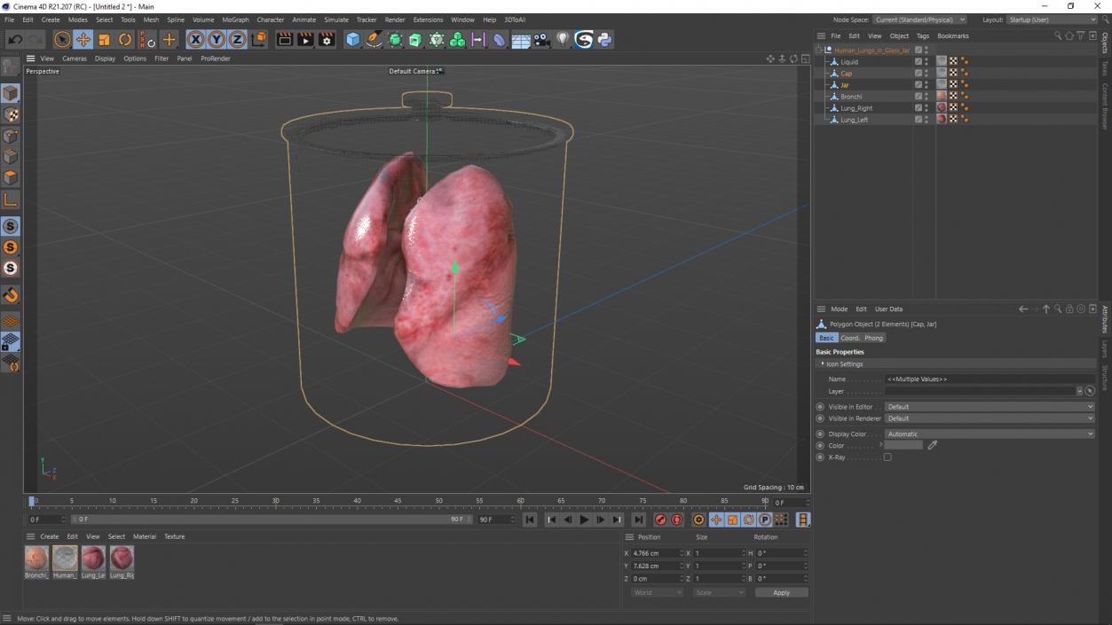 3D Human Lungs in Glass Jar 2