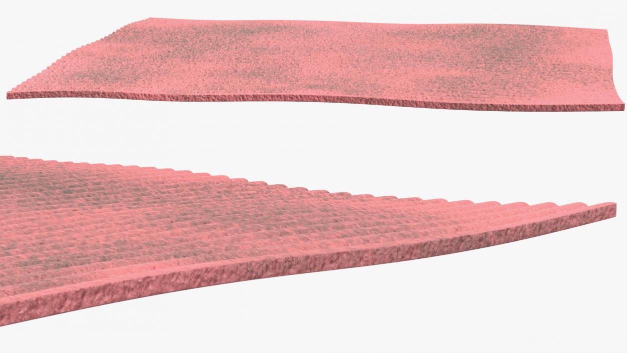 3D Old Dish Cloth Red model