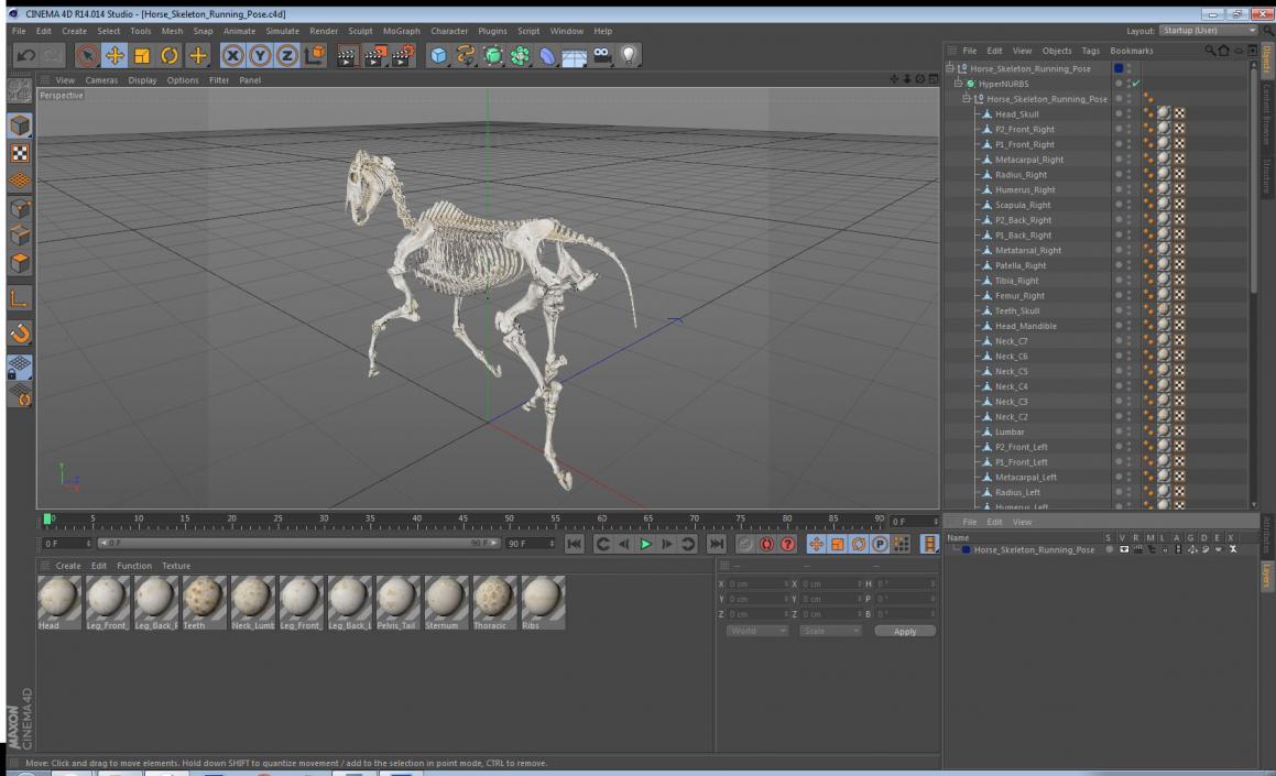 Horse Skeleton Running Pose 3D