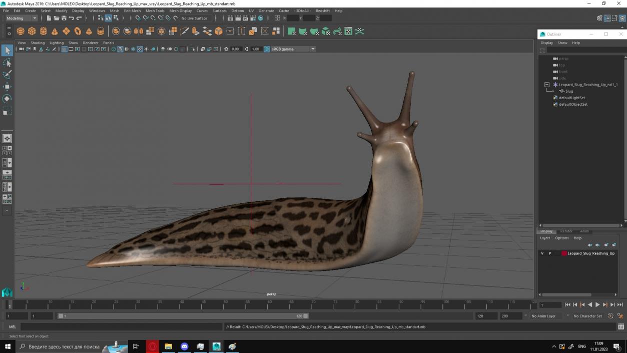 Leopard Slug Reaching Up 3D model