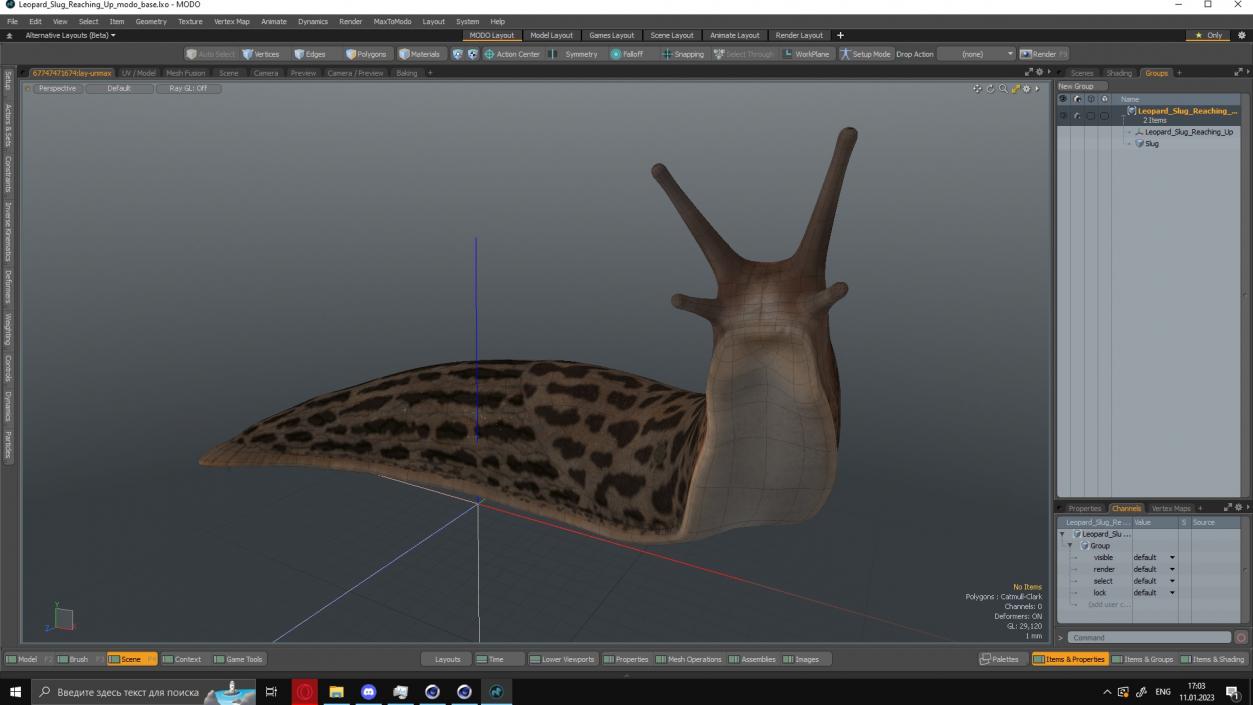 Leopard Slug Reaching Up 3D model