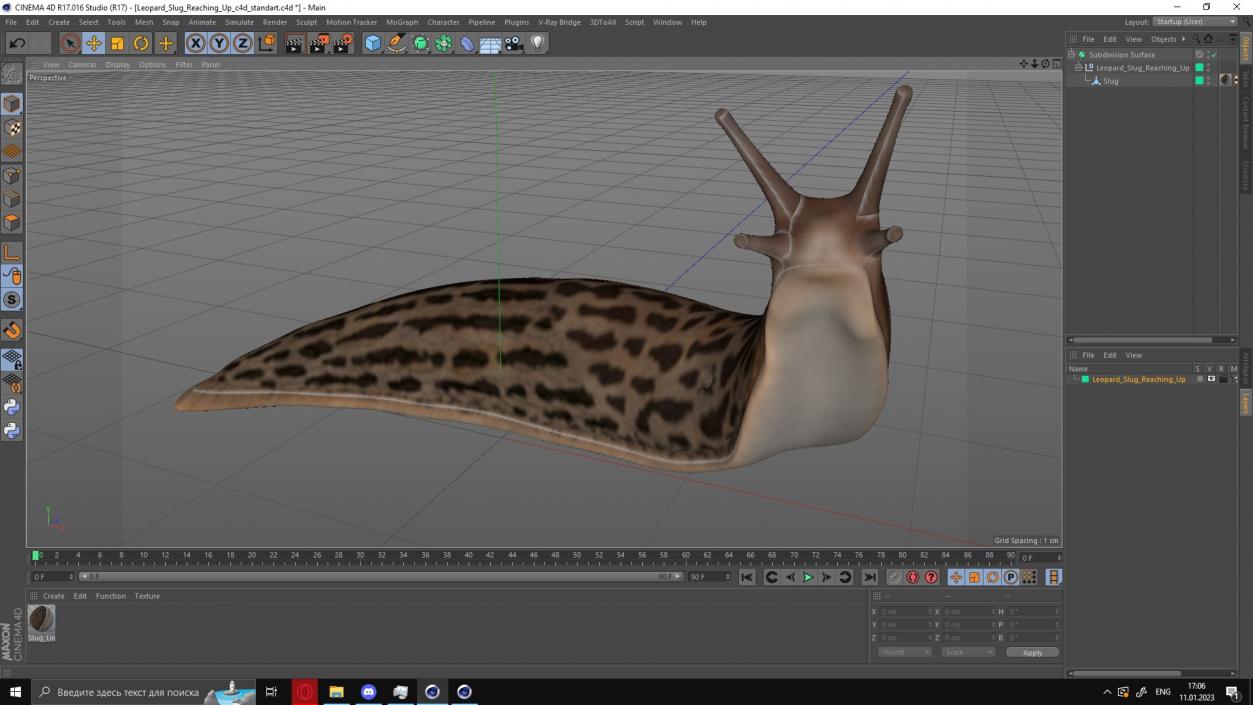 Leopard Slug Reaching Up 3D model