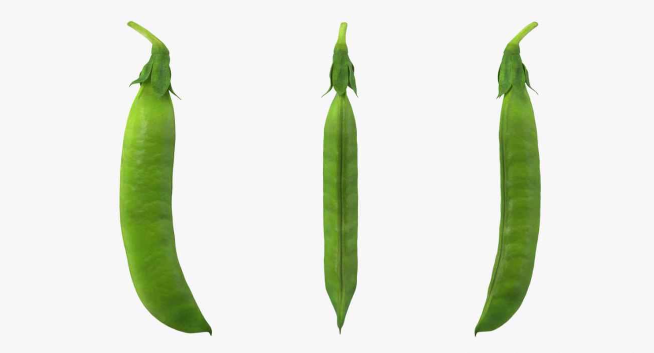 3D model Fresh Pea Pod Closed