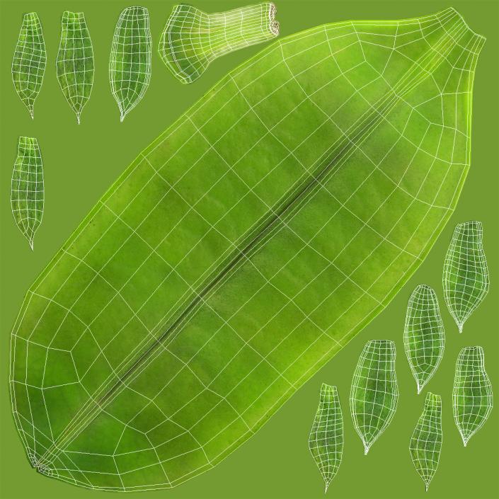 3D model Fresh Pea Pod Closed