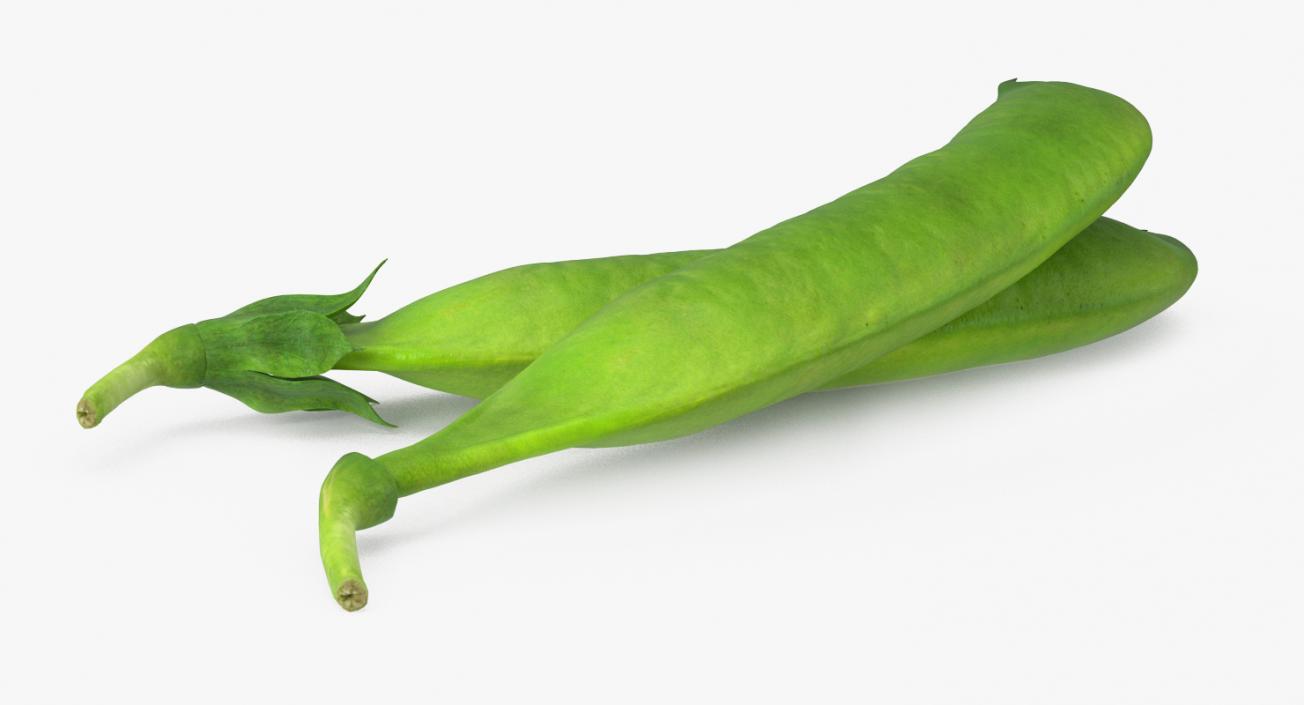 3D model Fresh Pea Pod Closed