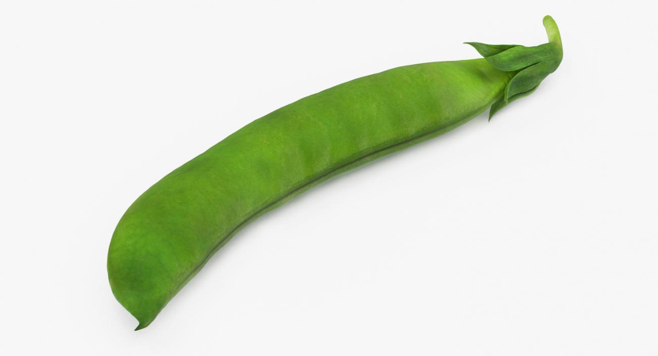 3D model Fresh Pea Pod Closed