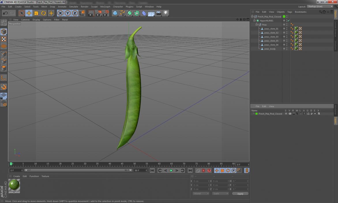 3D model Fresh Pea Pod Closed