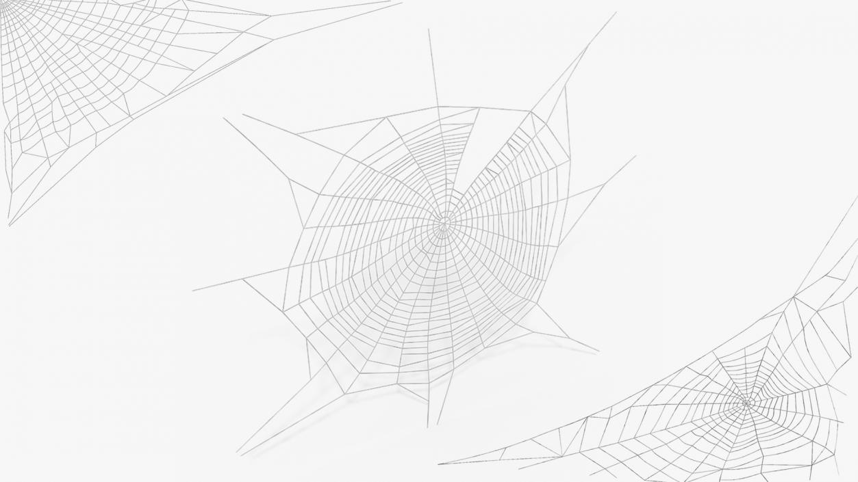 Spider Webs Collection 5 3D model