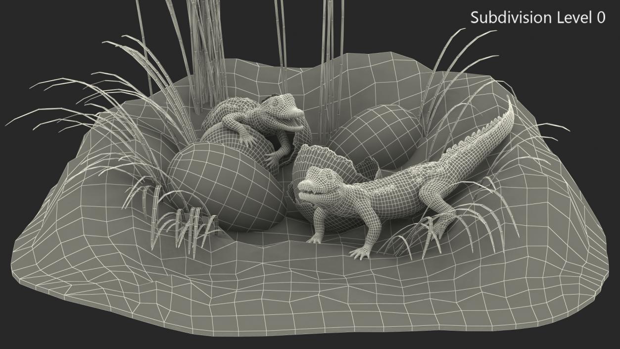 3D model Baby Crocodiles Nest