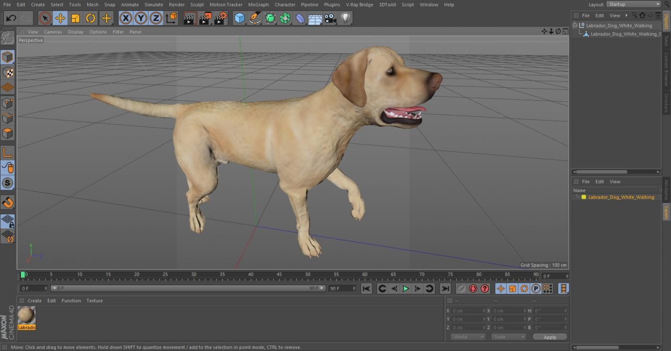 3D Labrador Dog White Walking