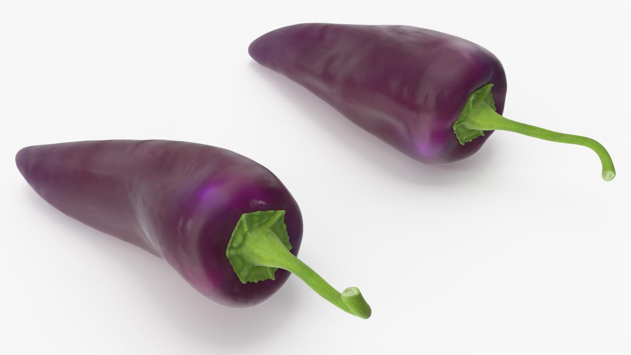 Purple Chili Pepper 3D model